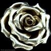 lyndarosesrolli